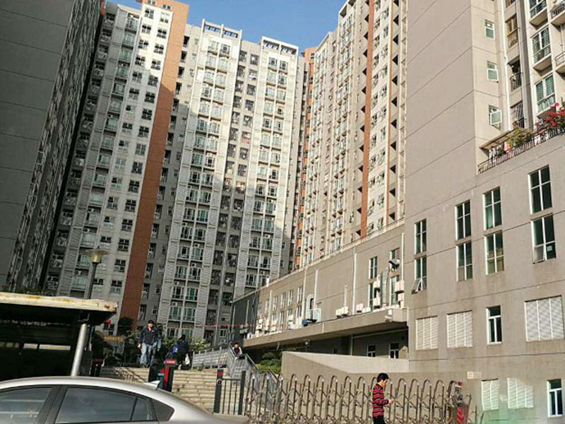 <b>國際會展中心100米 12棟大型村委統(tǒng)建樓《恒基國際》</b>