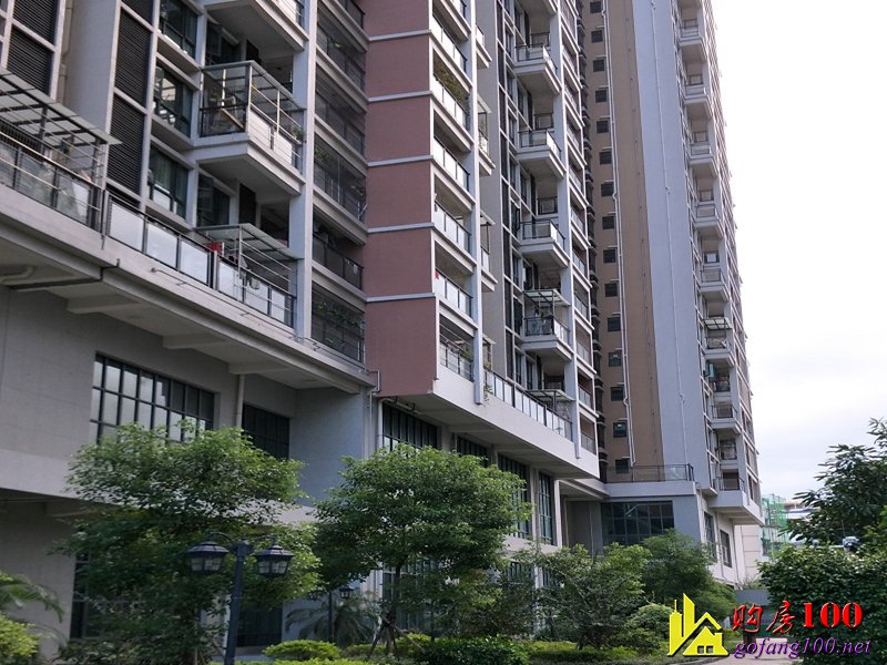 沙井11號地鐵線海岸城旁【中心國際】6棟花園統(tǒng)建樓