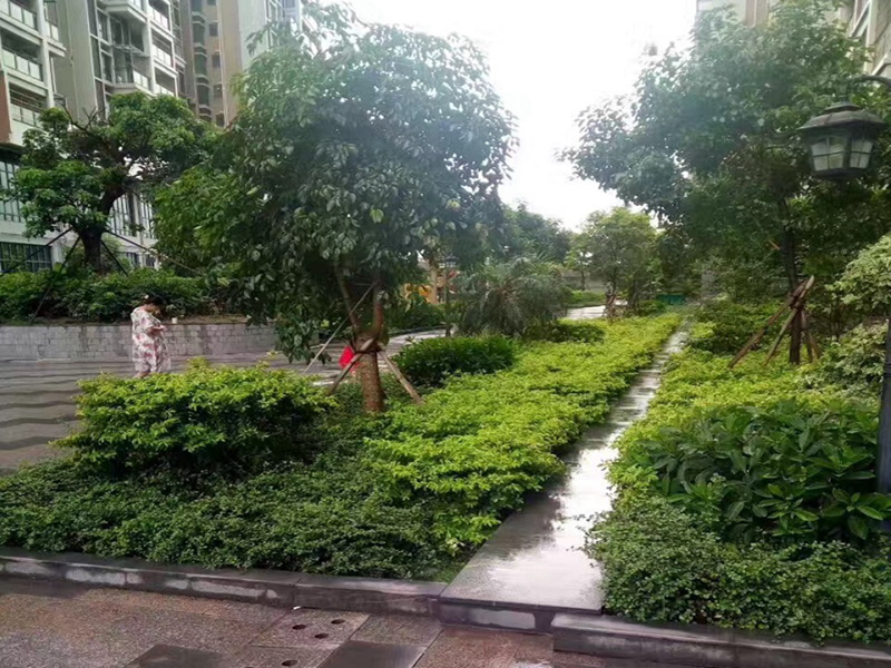 沙井中心區(qū)海岸城旁【中心花園】大型統(tǒng)建樓